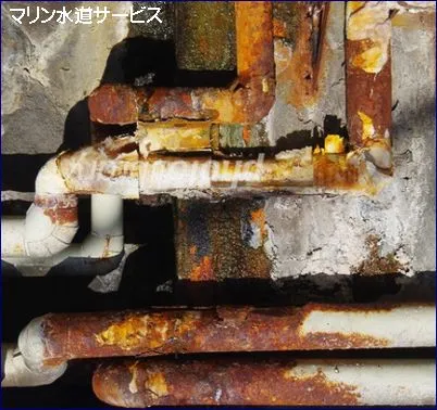 施行画像1